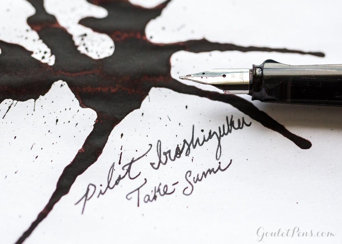 Pilot Iroshizuku Take-sumi (Bamboo Charcoal – Black) Fountain Pen Ink –  50mL Bottle – The Nibsmith