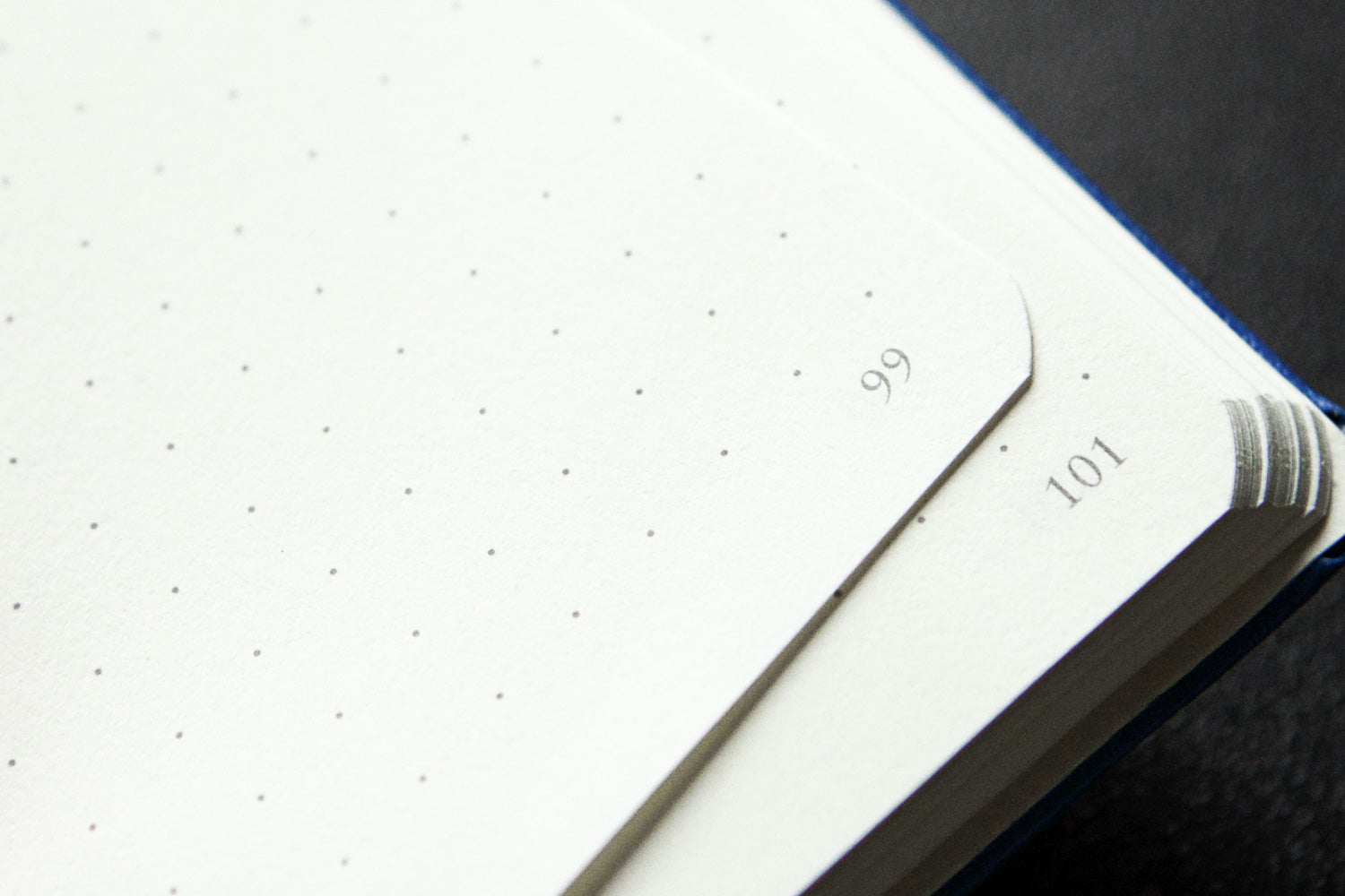 leuchtturm1917 gridded notebook