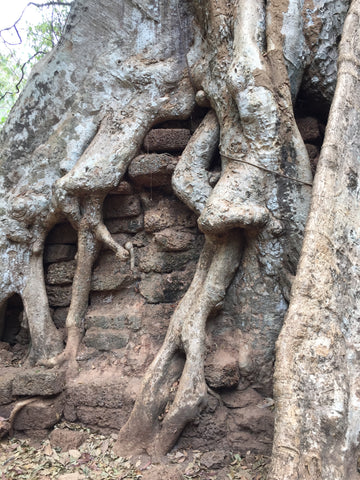 Angkor Wat Cambodia