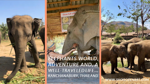 elephants word, Thailand