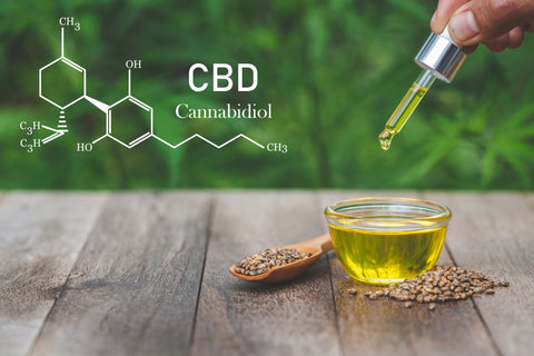 CBD Oil for Dogs and Cats