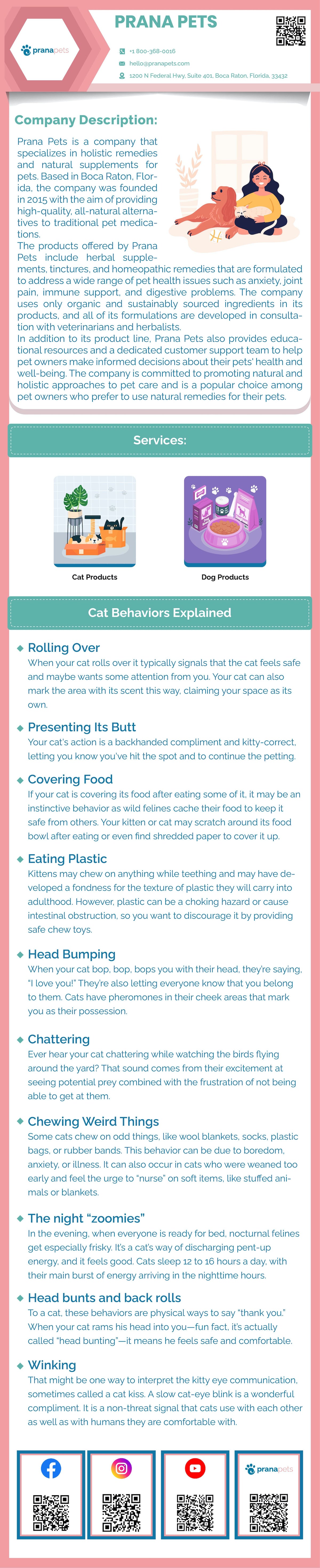 Weird Cat Behaviors Infographic