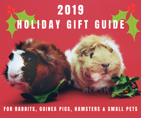 2019 Holiday Gift Guide for Rabbits, Guinea Pigs, Hamsters and Small Pets