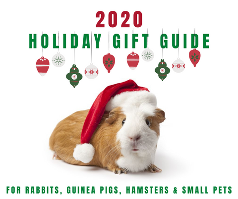 2020 Holiday Gift Guide for Rabbits, Guinea Pigs, and Small Pets