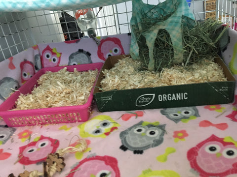 guinea pig cage bedding