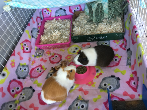 guinea pig fleece pads