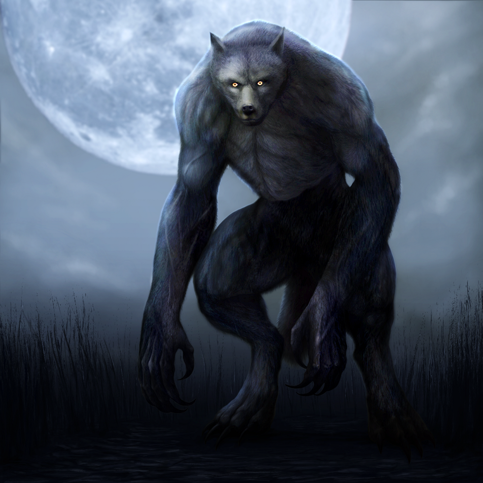 Nocturnal Collection – Dogman Encounters