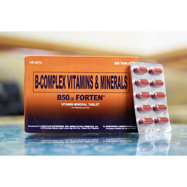 B50/2 Forten Vitamin Mineral Tablet