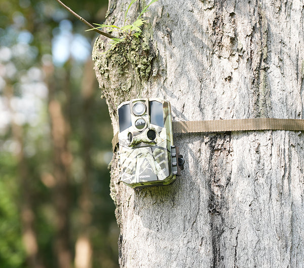 trail camera wholesale moq