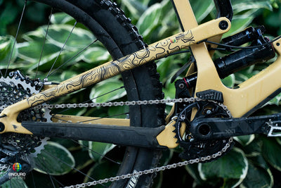 chain frame protector