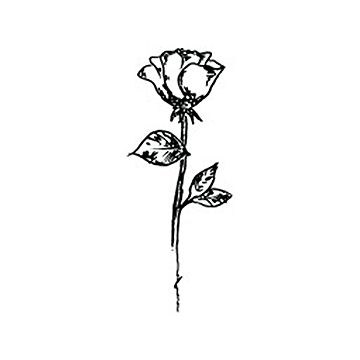 Black Rose Sticker — NABILNET