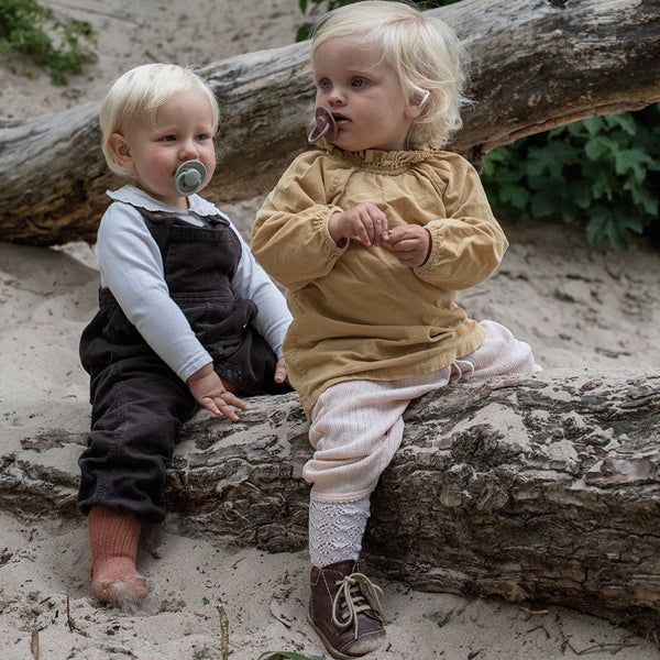 Pack 2 Chupetes BIBS Dusky Lilac/Heather