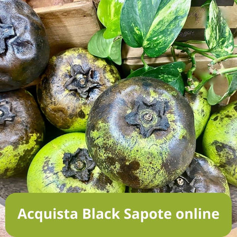 acquista black sapote online