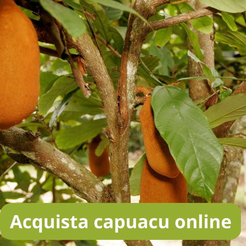 Acquista capuacu online con Frutt'it