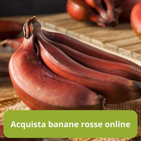 acquista banane rosse online con Frutt'it