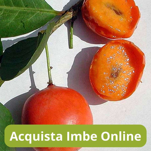 Acquista imbe  online con Frutt'it - Frutta tropicale online