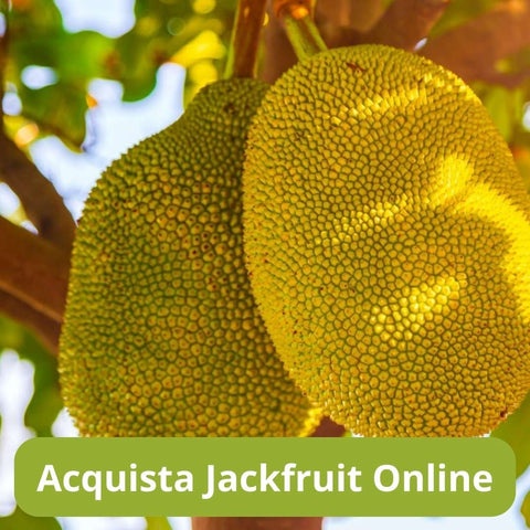 Acquista il jackfruit online con Frutt'it - Frutta tropicale online