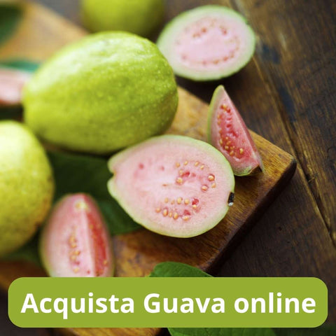 Acquista Guava online con Frutt'it - Frutta tropicale online