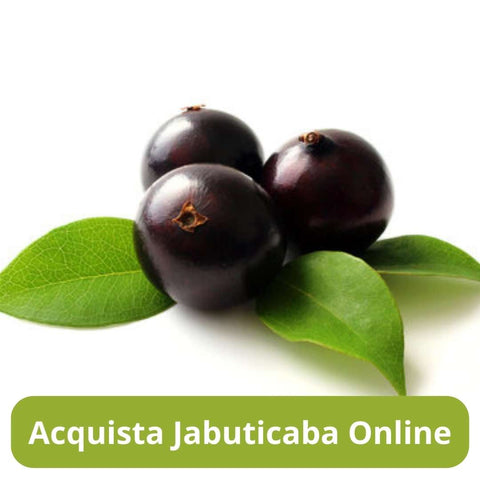 Acquista jabuticaba online con Frutt'it - Frutta tropicale online