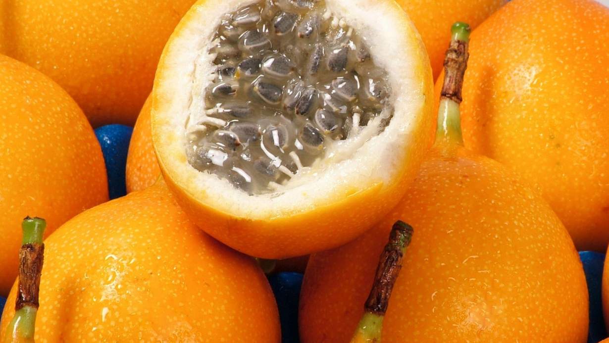 granadilla bio online