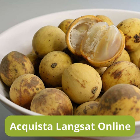 Acquista langsat online con Frutt'it - Frutta tropicale online