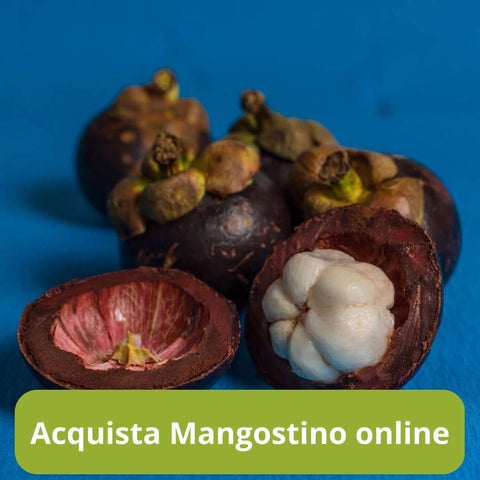 Acquista mangostino online con Frutt'it - Frutta tropicale online