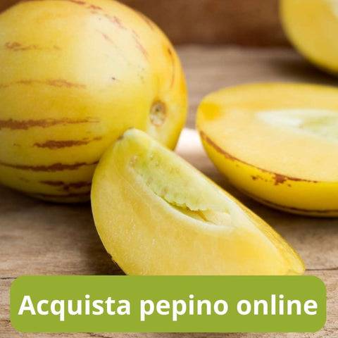 Acquista pepino  online con Frutt'it - Frutta tropicale online