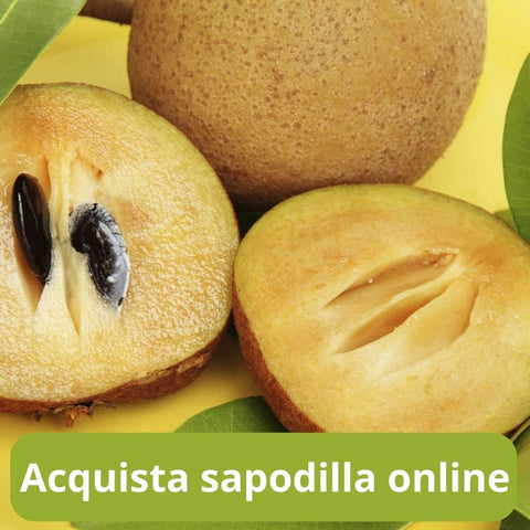 Acquista sapodilla online con Frutt'it - Frutta tropicale online