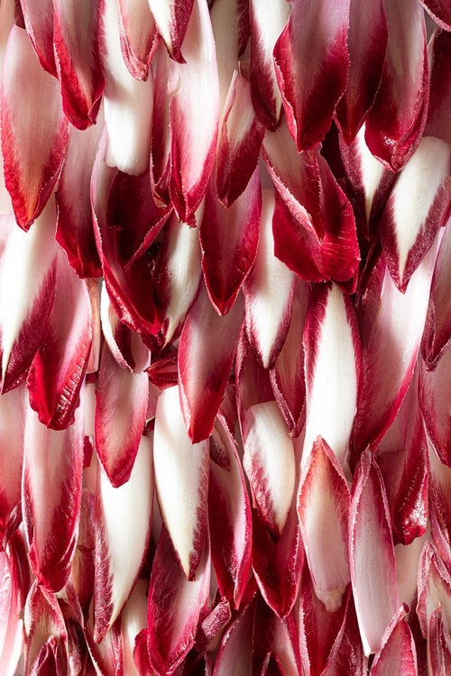 benefici del radicchio - Justfruit