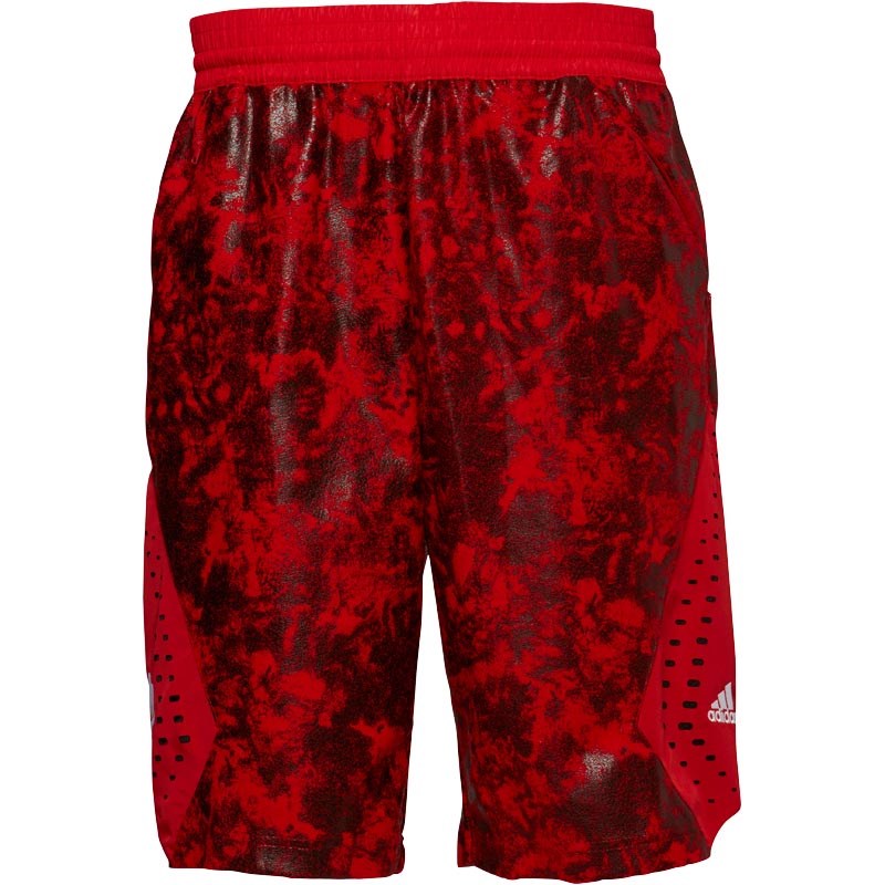 derrick rose shorts