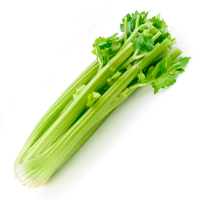 celery