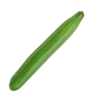 English cucumber