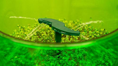 Freshlife Automatic Watering System