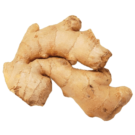 Ginger