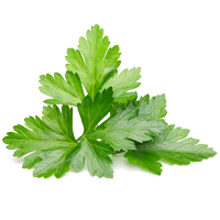 parsley