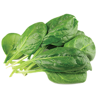 Spinach