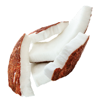 thai coconut flesh