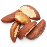 brazil nuts