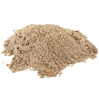 plant-based protein powder