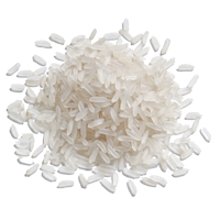 white rice