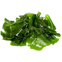 wakame