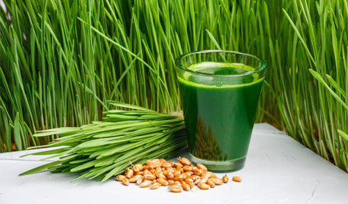 Juice Wheatgrass at Home with Zstar
