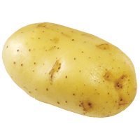 potato