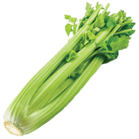 Celery