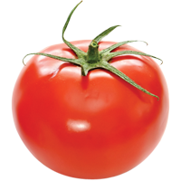 tomatoes