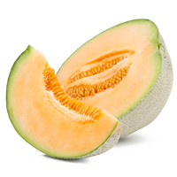 Honeydew