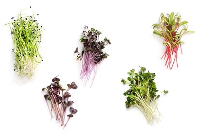 Try different varieties of sprouts.