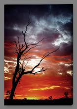 ‘Outback Sunset' Canvas Print