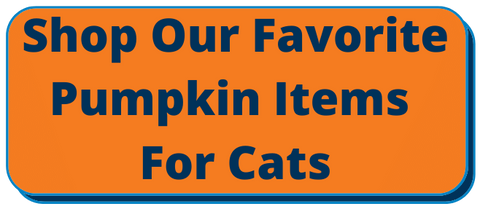Shop Favorite Cat Items with Pumpkin