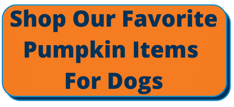 Shop Favorite Dog Products with Pumpkin